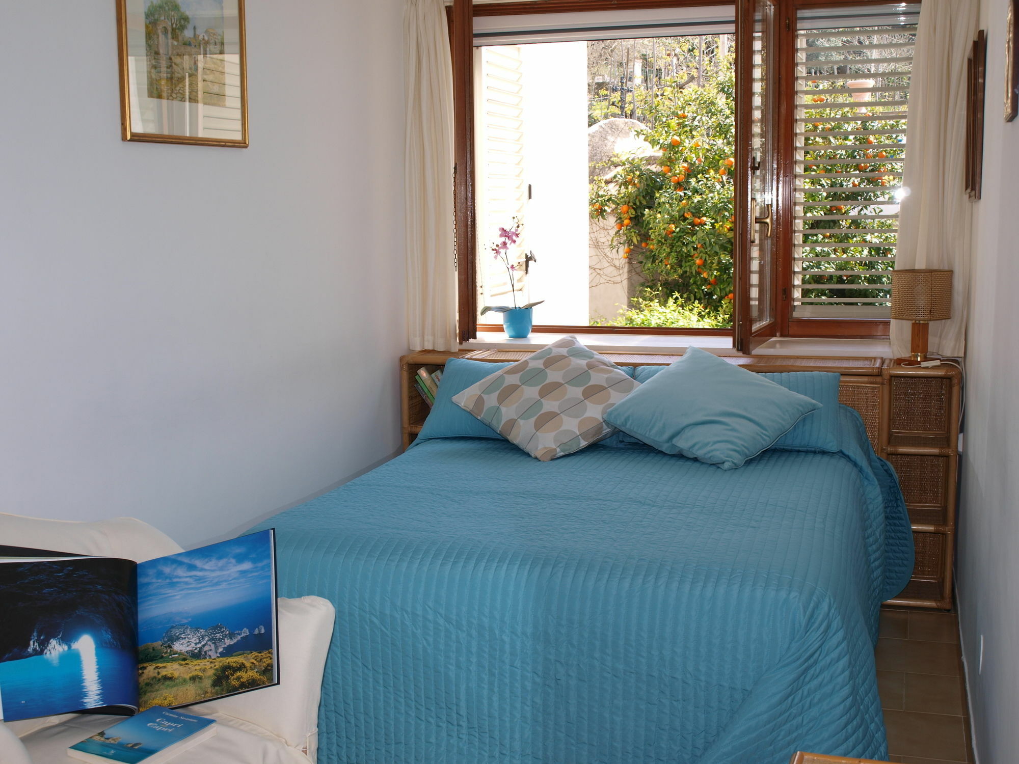 Villa Apollo B&B Capri Buitenkant foto